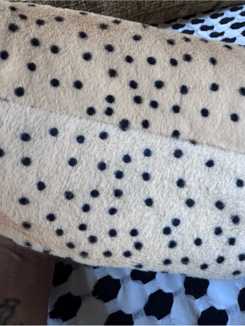 CC Cream with Black Polka Dot Shearling Shoulder Bag - Picture 7 of 14